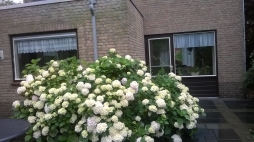 De Glaszetter V.O.F.