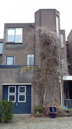 Glasbedrijf de Jonge & Zn